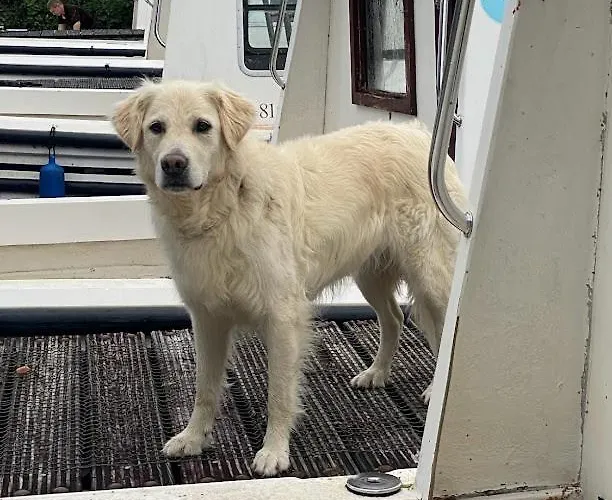 Leitrim Quay - Riverside 6 Nyaraló *